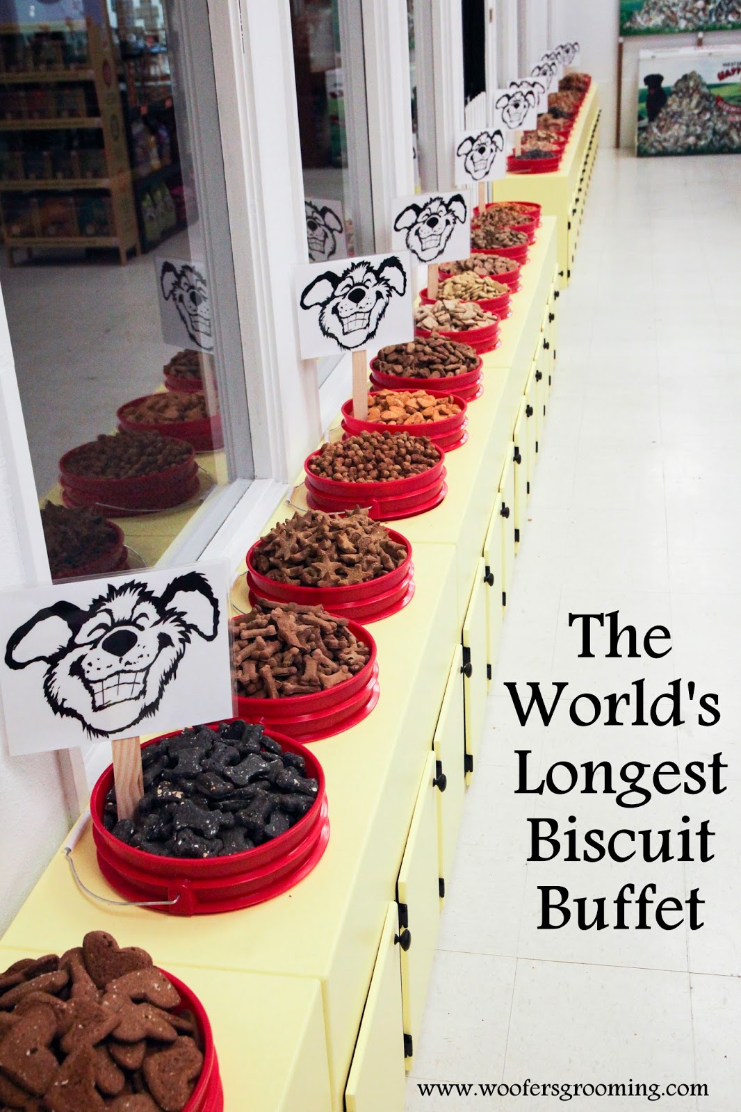 Woofers Grooming & Goodies Spanaway, WAWorld's Longest Biscuit Buffet