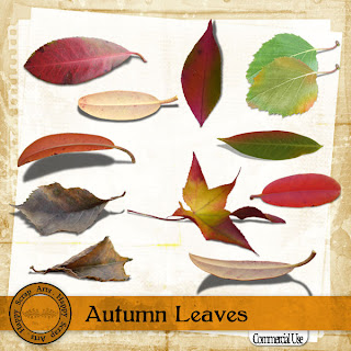 http://2.bp.blogspot.com/-vaMnyIC1Hq8/UExrUyt4OUI/AAAAAAAAEvM/xVIkJt4561k/s320/HSA_Autumn_Leaves_pv.jpg