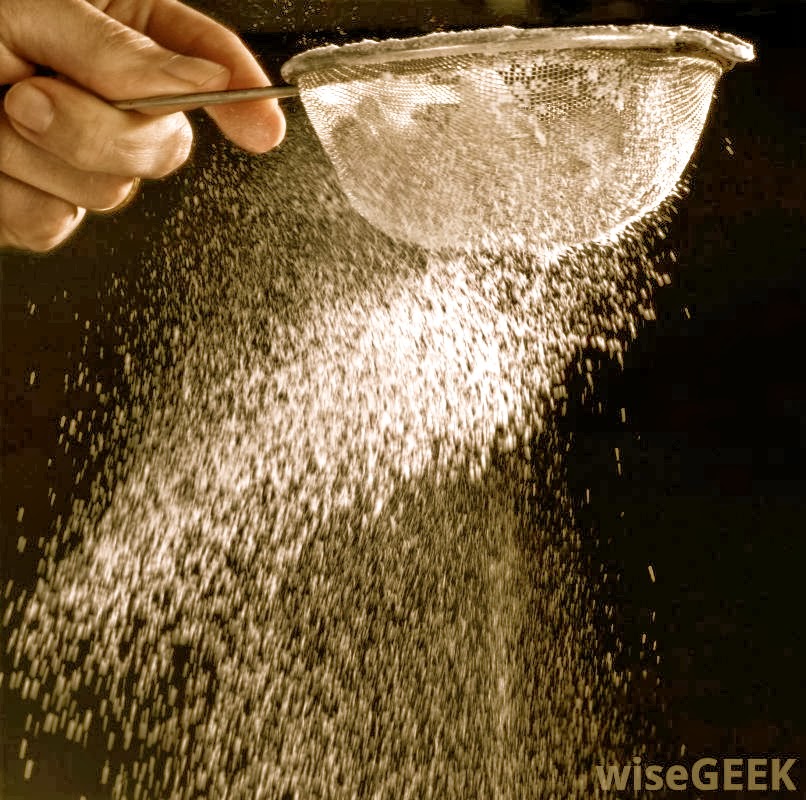 A Year of Being Here Naomi Shihab Nye "Sifter"