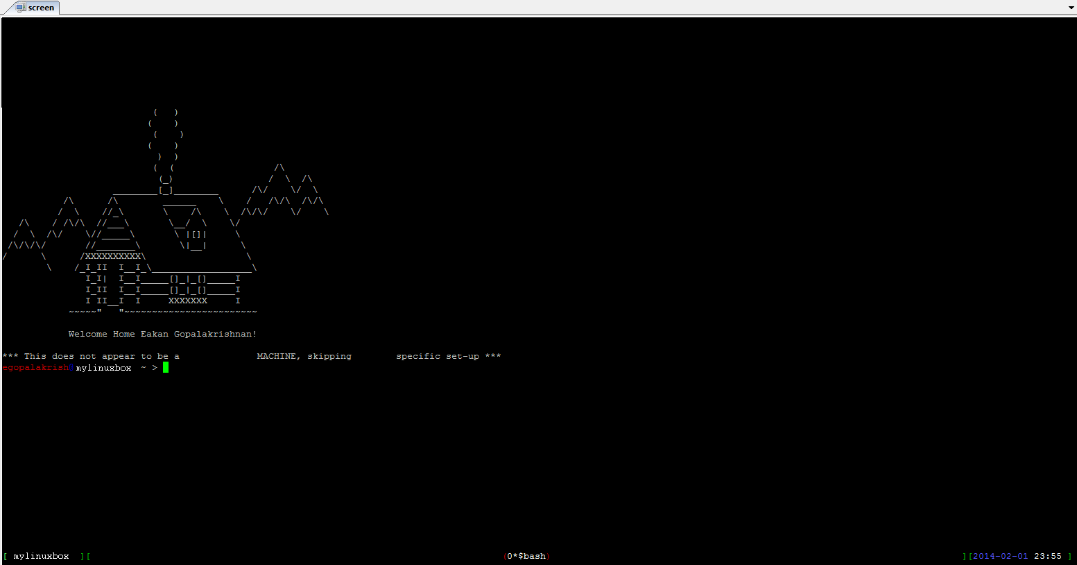 Screenshot of my terminal