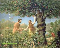 Nurul Islam Kelebihan Manusia Di Banding Makhluk Lainnya