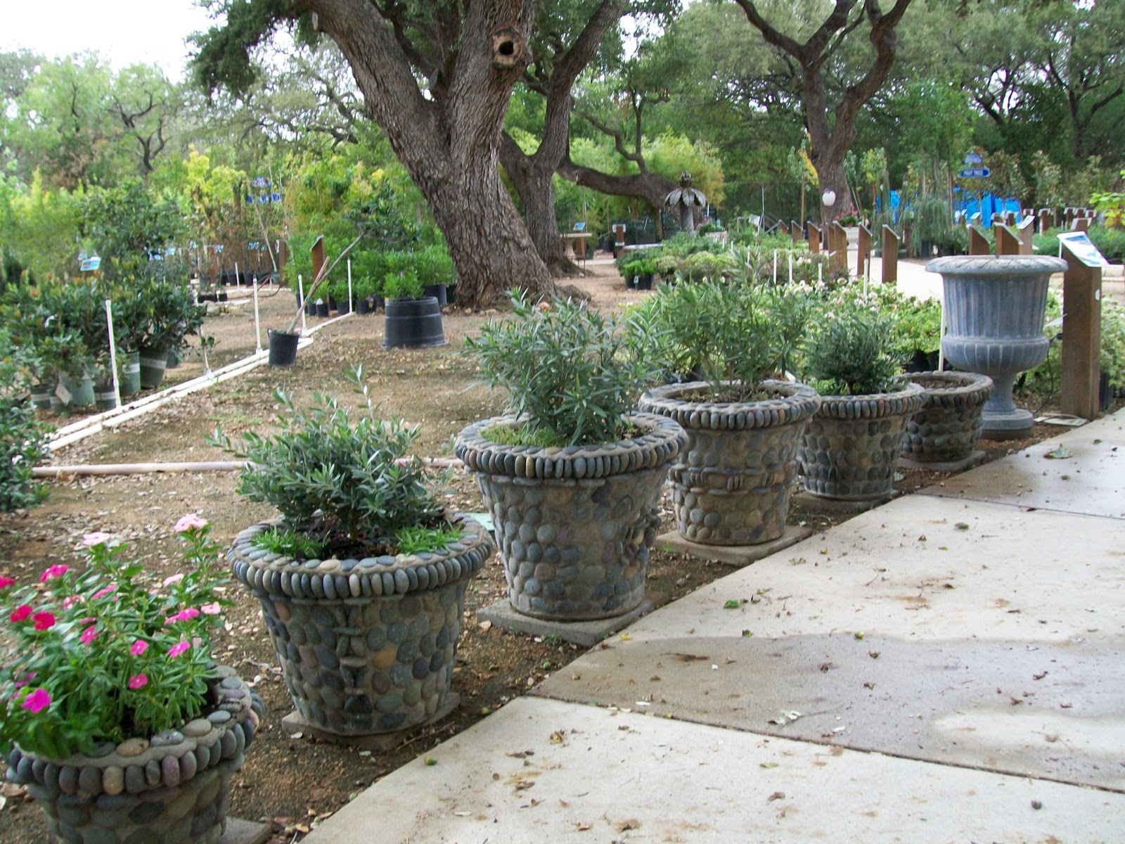 Rock-Oak-Deer: Somewhere over the Rainbow (Gardens) #3