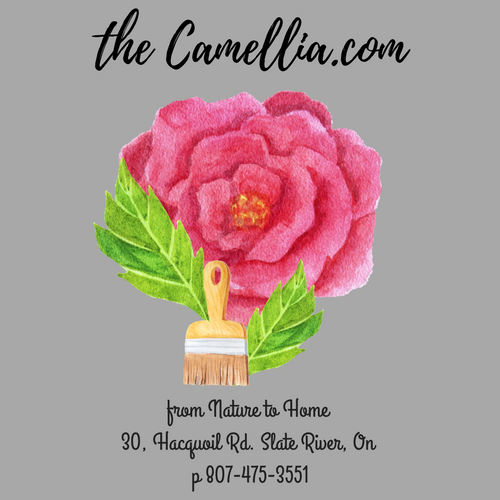 Visit our store, The Camellia, selling Cottage Paint, Home Decor, Table linens, and Gifts