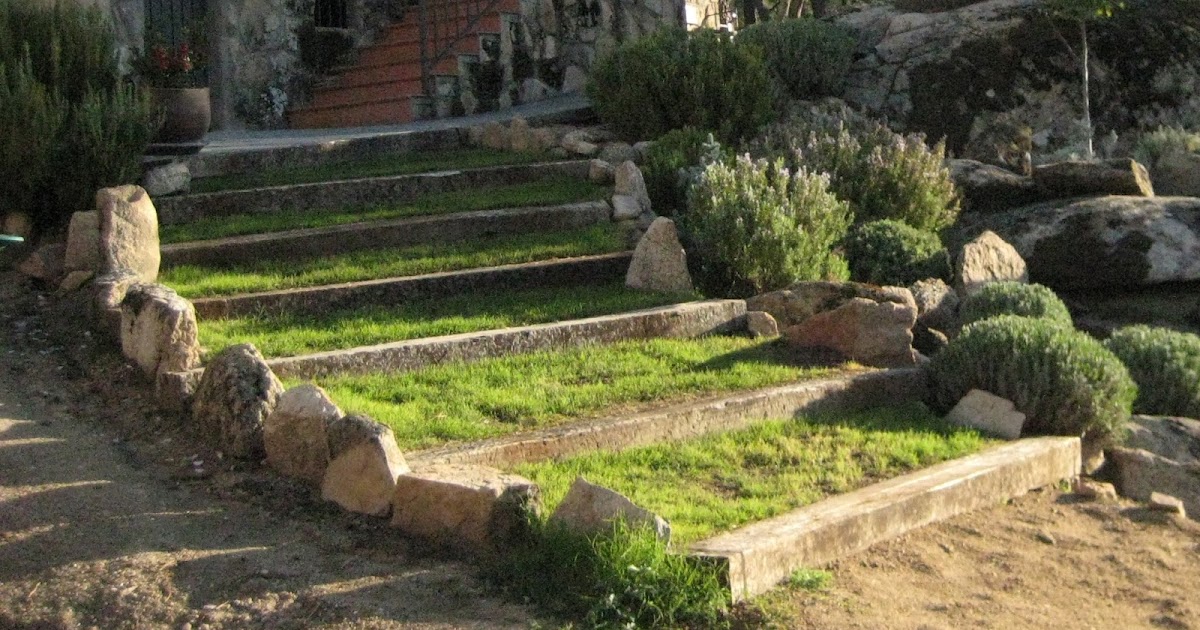 Invernablog: Las escaleras del jardín.