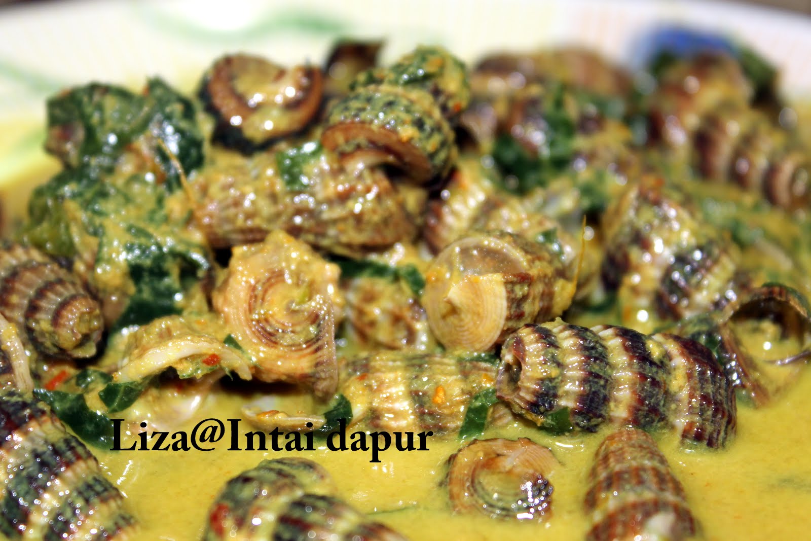 INTAI DAPUR: Masak Lemak Siput Sedut Daun Kaduk....