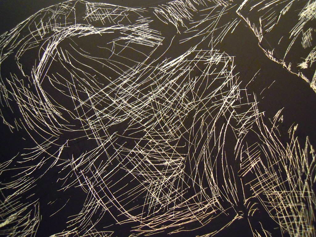 An Elephant a Day Elephant No. 290 Scratchboard