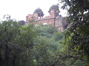 Purana Quila(Old Fort) as seen from Delhi zoo.(Thursday 3-11-2011).