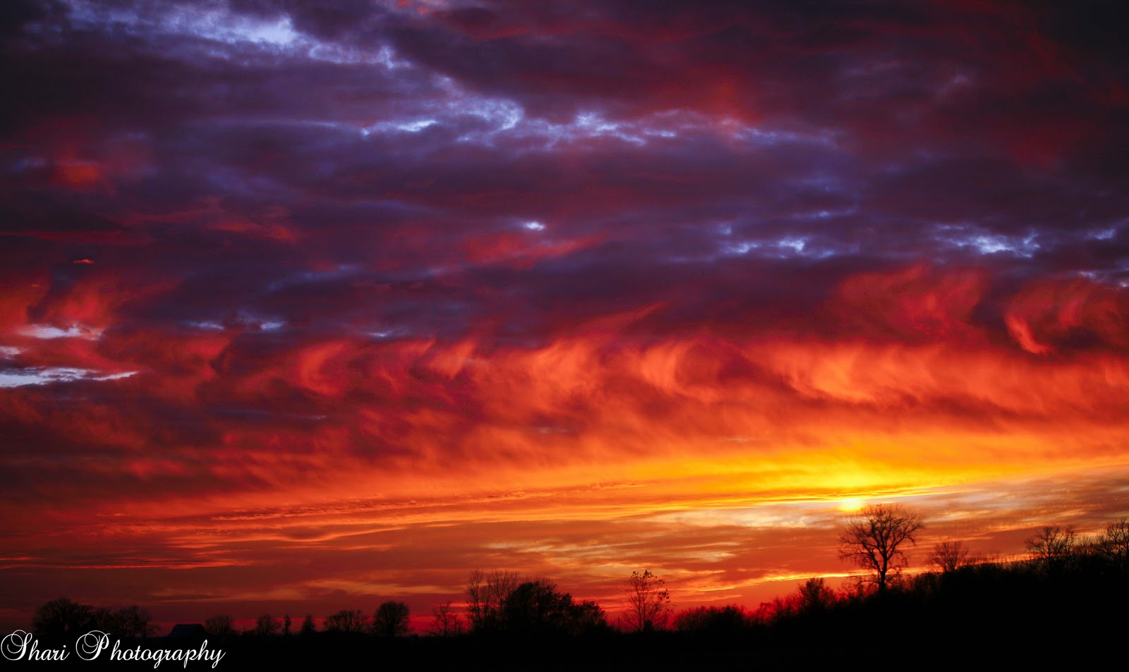 Shari Photography Sunset in Missouri