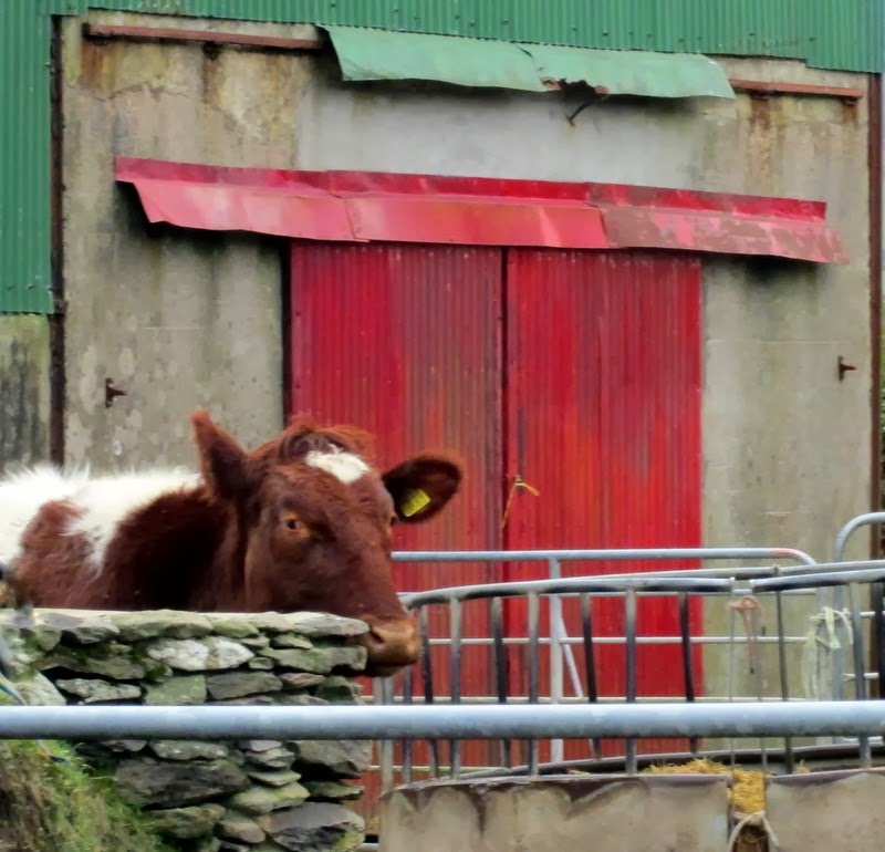 Christmas Eve in Ireland
