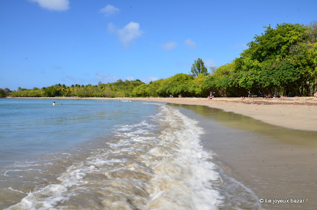 Martinique - Tartane - plage