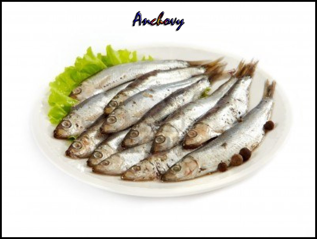 CookBook Health Benefits of Anchovy / Netholi / Kozhuva