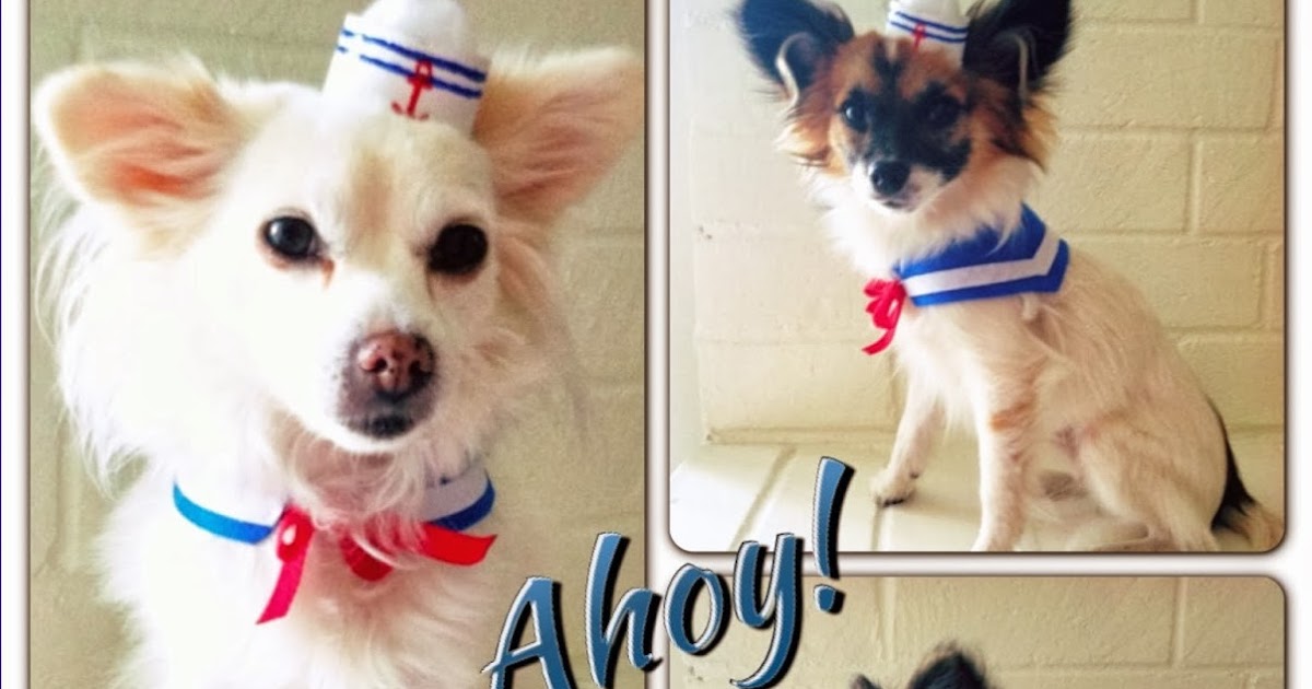 Sew DoggyStyle DIY Mini Sailor Hat