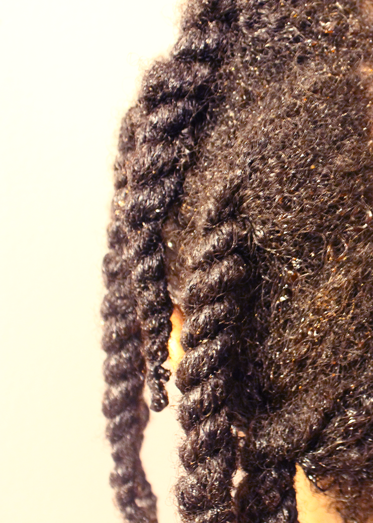 Molasses Pre Shampoo Treatment Art Loves Company