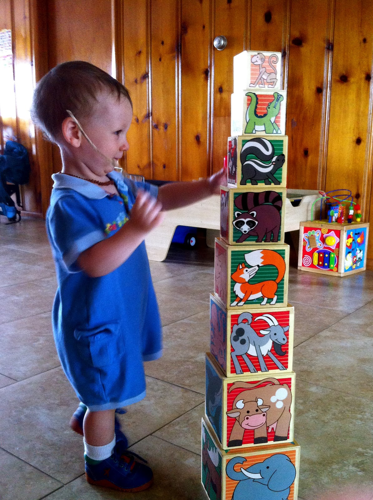 Five Toys Every Toddler Loves