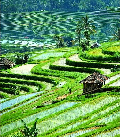 1001 Gambar Keren: Gambar Keindahan Alam