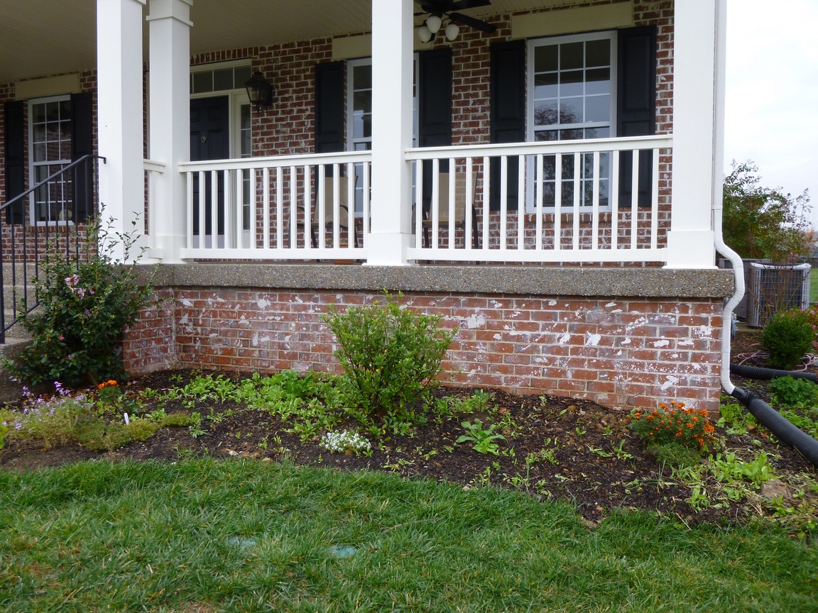 Nature Rambling Ramble Report August 11 2016