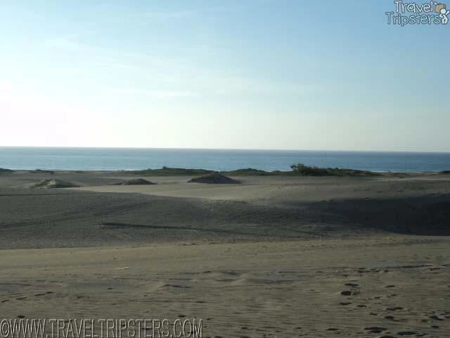 paoay sand dunes