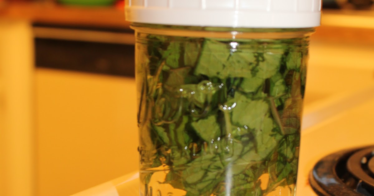 The Simplicity of Home Homemade Peppermint Extract