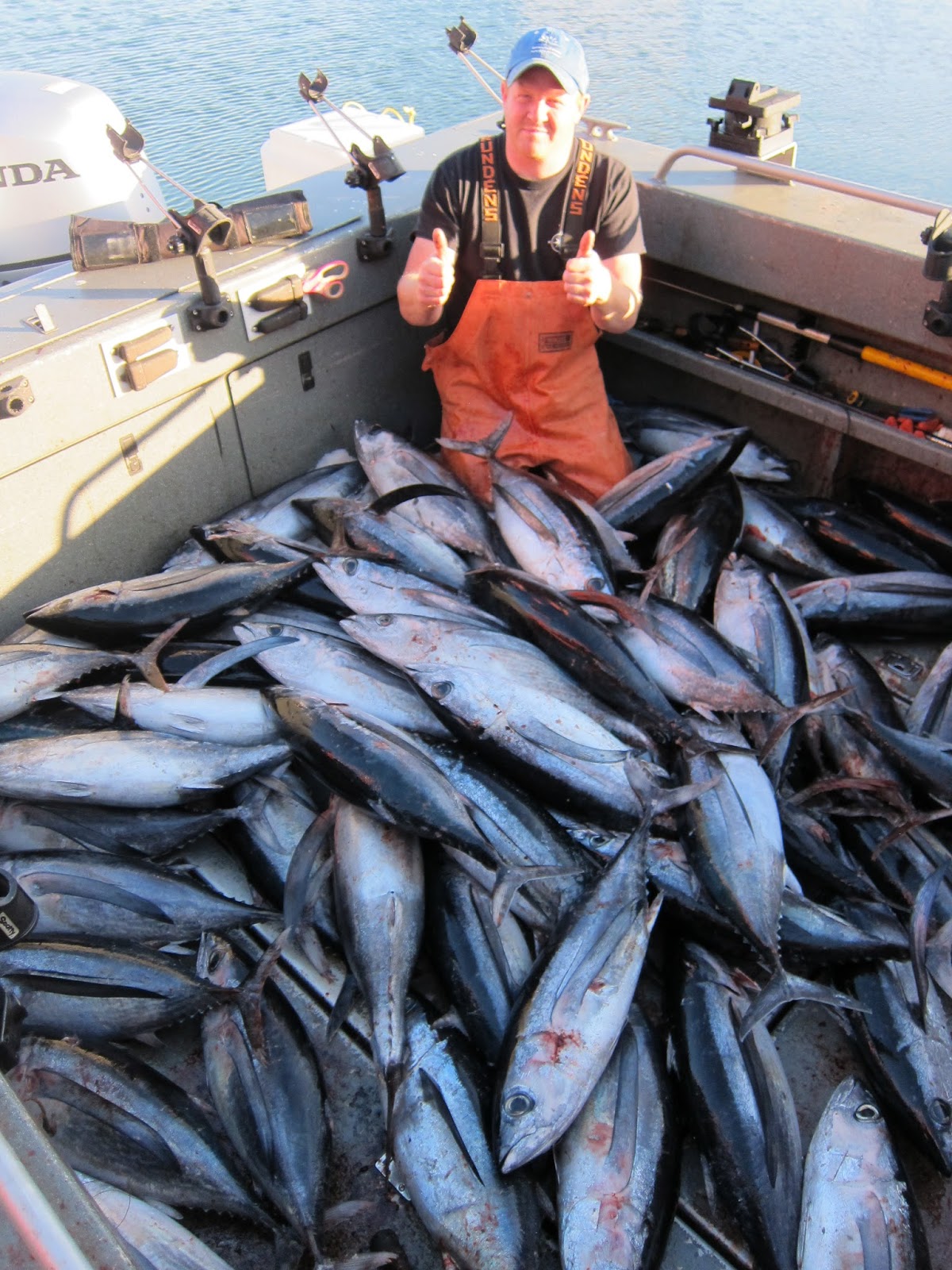 Todds Extreme Fishing Boat Loads of tuna at westport!