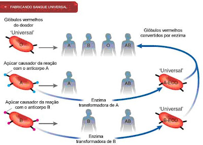 Exame grupo sanguineo