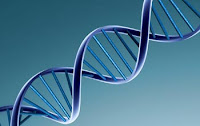 Ανώτατο Δικαστήριο των ΗΠΑ: Δεν πατεντάρεται το ανθρώπινο γονιδίωμα
