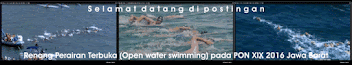 Renang Perairan Terbuka (Open water swimming) pada PON XIX 2016 Jawa Barat