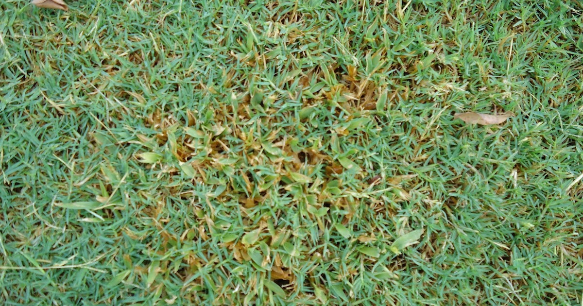 Jardín Bambú, C.A.: Club General Motors Venezolana. Remodelación de los