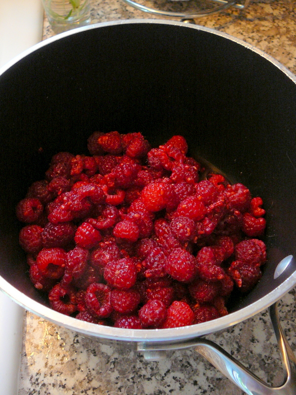 The Food Aisle Raspberry Simple Syrup