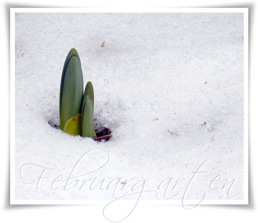 Garten-Keramik: Februar 2013
