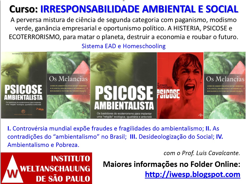 Curso: IRRESPONSABILIDADE AMBIENTAL E SOCIAL com o Prof. Luis Cavalcante.