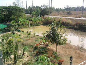 Auswandern Nach Thailand Mein Erstes Haus Im Isaan