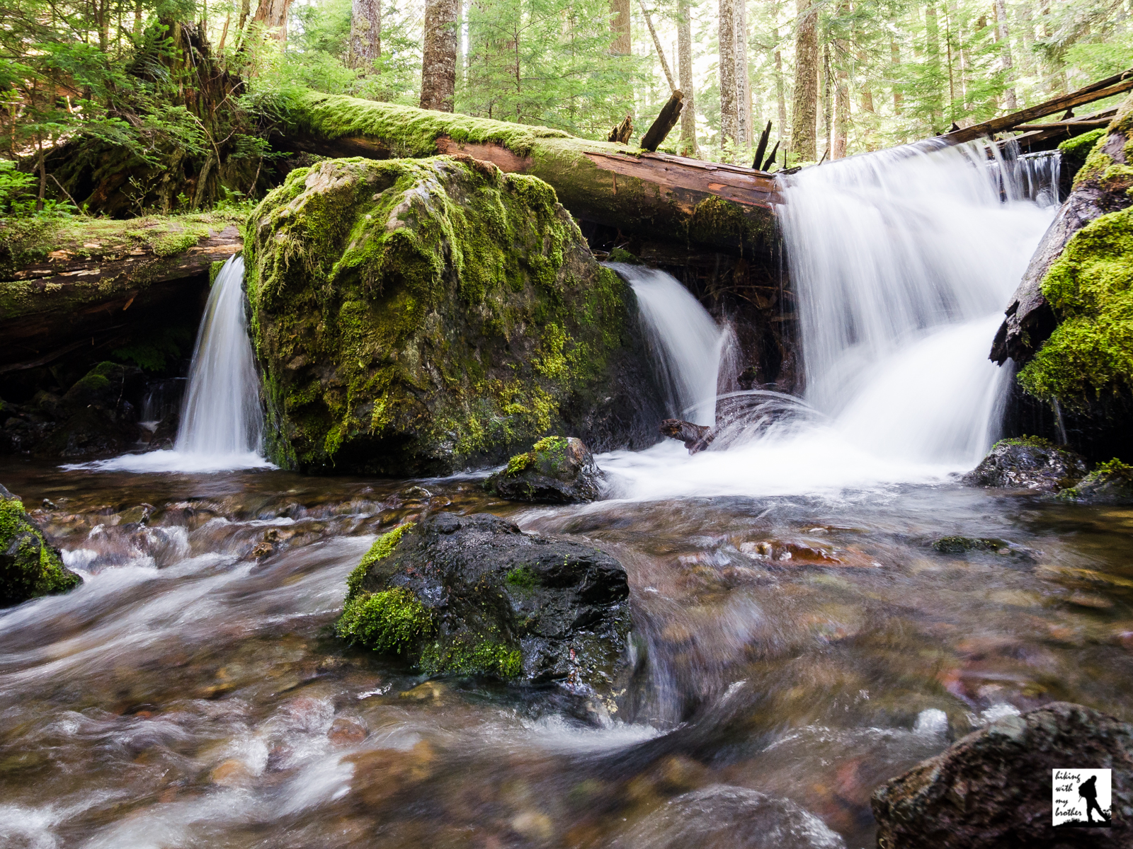 Tunnel Creek Trail 841 to 5050 Pass Hiking with my Brother