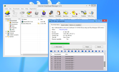 Download Registered Internet Download Manager For life Time Download Registered Internet Download Manager For life Time