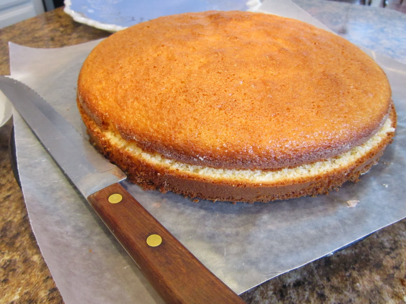 The Italian Next Door Grapefruit Cake with GrapefruitCream Cheese