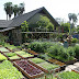 Learn How This Family Grows 6,000 Lbs Of Food on Just 1/10th Acre