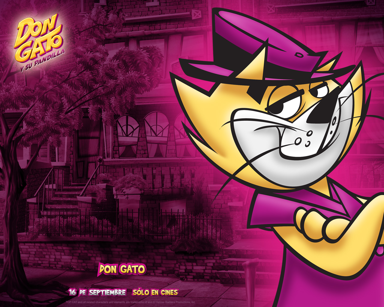 top cat wallpaper Photo top cat wallpaper Photo