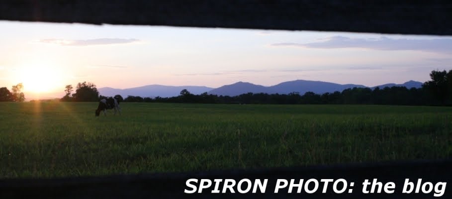 Spiron Photo: The Blog