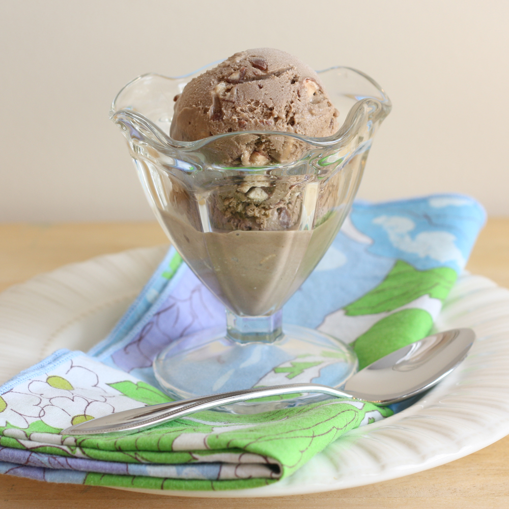 That Winsome Girl Chocolate Malt Ice Cream