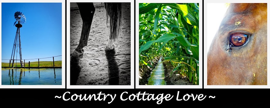 Country Cottage Love
