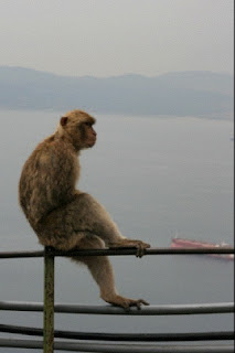 iphone  background wallpaper