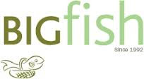 BIGfish Marketing Internship BIGfish Marketing Internship