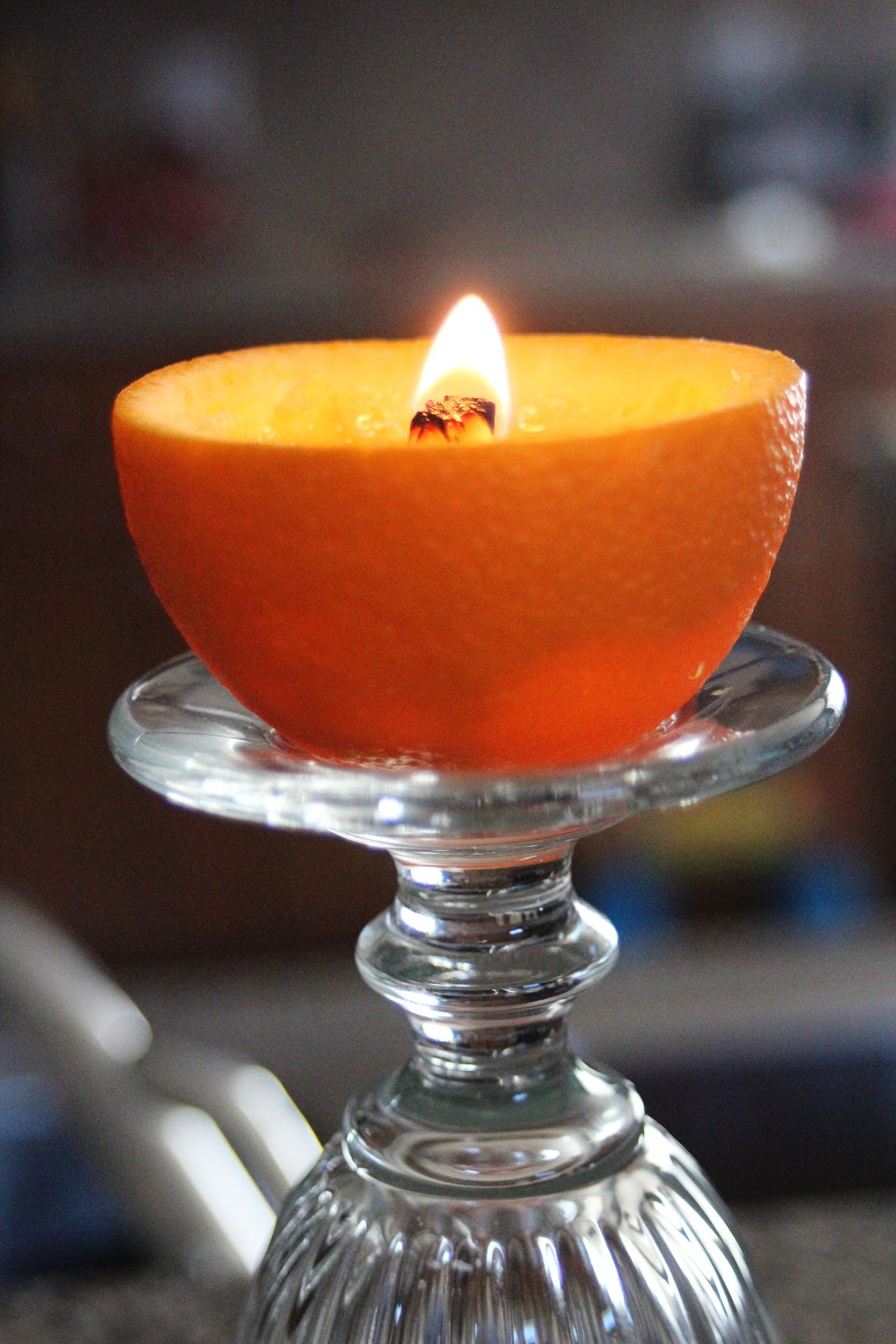 I make stuff. Citrus Oil Lamps!