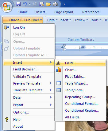 bi publisher template builder installation error bi publisher template builder installation error