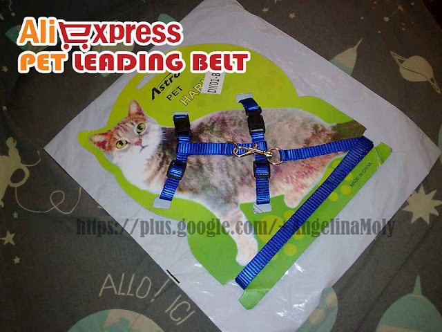 Pet leading belt from the store at Aliexpress.com, PET belt, pet shop in pakistan, pet shop in china, pet accessories at aliexpress, reviews of pet accessories at goodawarness 
