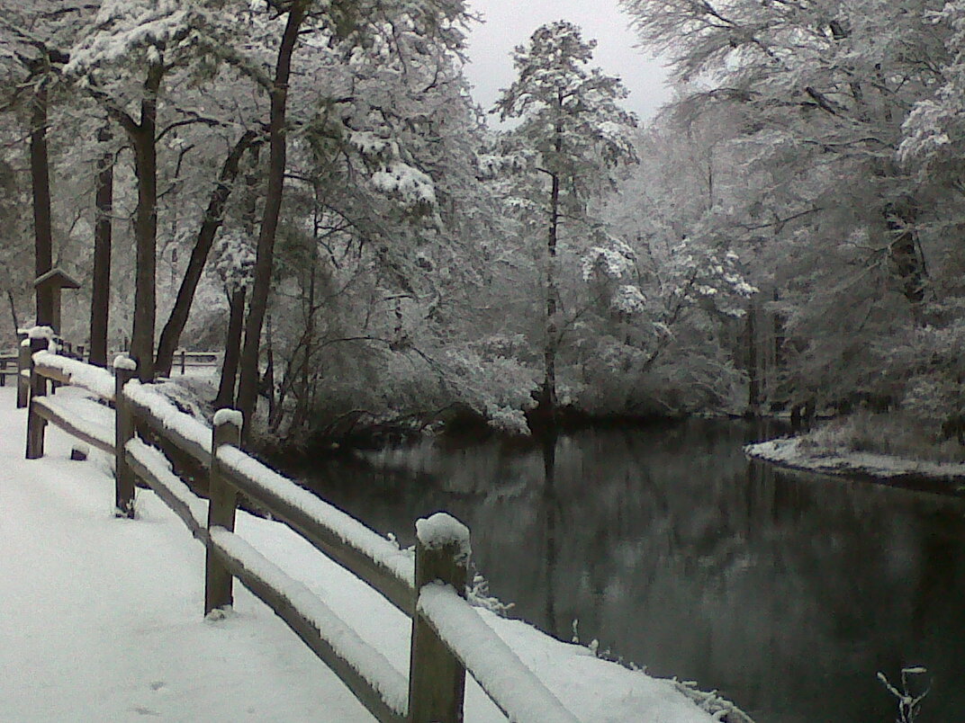 Lumber River State Park Chalk Banks New Fallen Snow