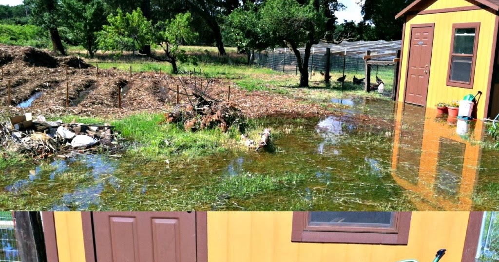 the Shepherd's farm When Disaster Strikes