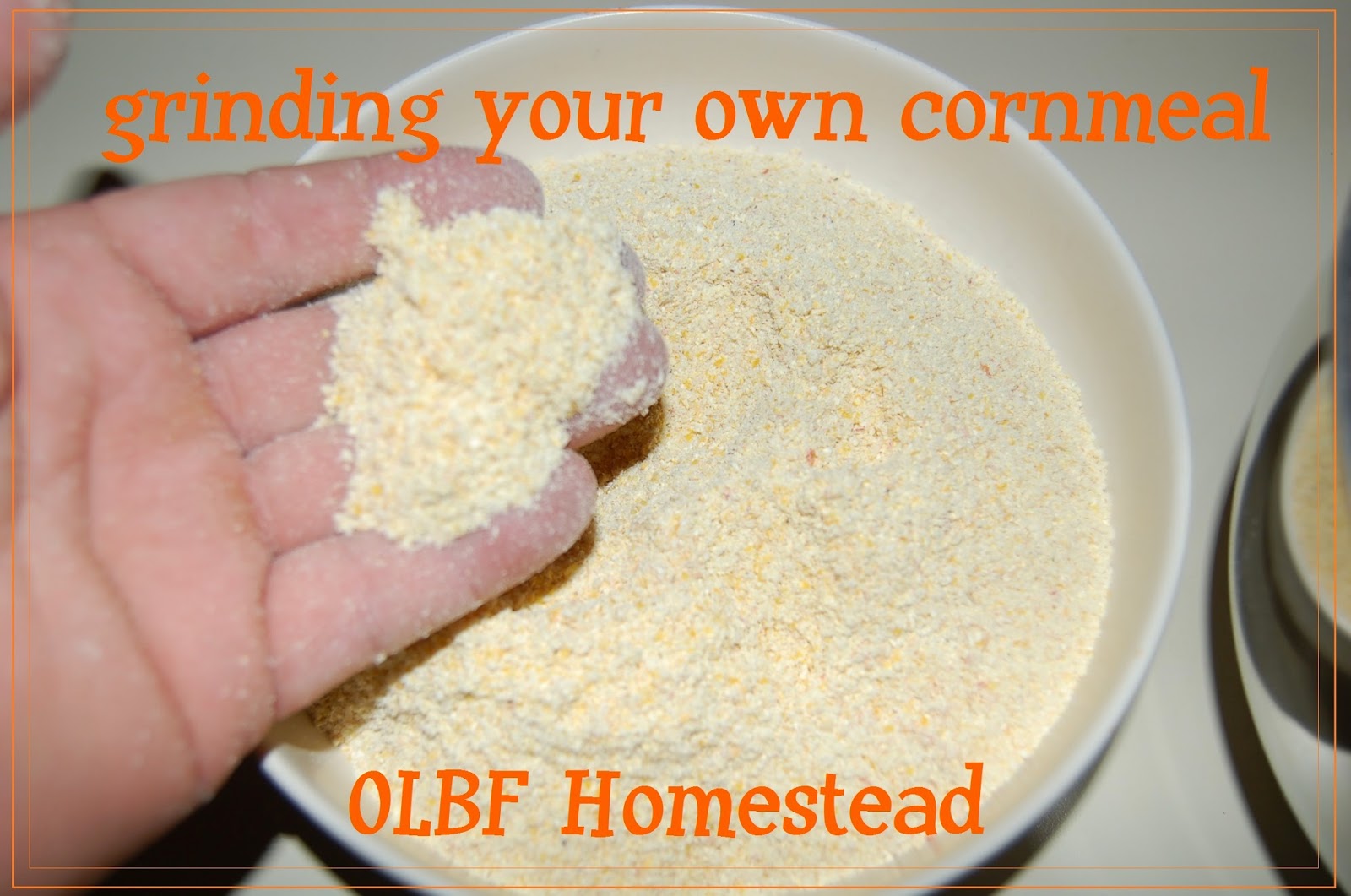 Our Little Backyard Farm home made cornmeal