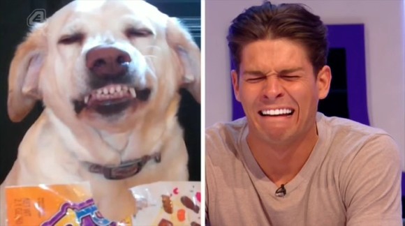 Virtually Famous Season 3 Virtually Famous Season 3