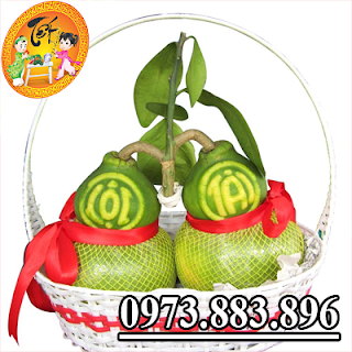 Bưởi Hồ Lô Đồng Sinh Bưởi Hồ Lô Đồng Sinh