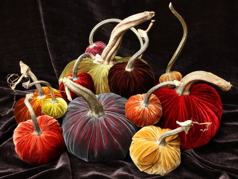 Susan Spindler Designs Velvet Pumpkins!!
